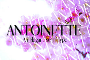 Antoinette: A Timeless Serif for Modern Clarity