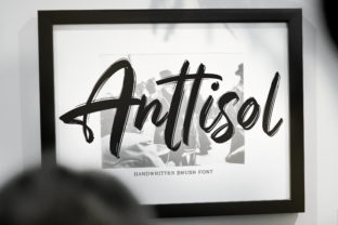 Anttisol: Bold, Funky & Full of Personality