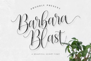 Barbara Blast Font: A Practical Evaluation for Designers and Developers