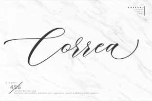 Correa Script: Bold Handwritten Charm